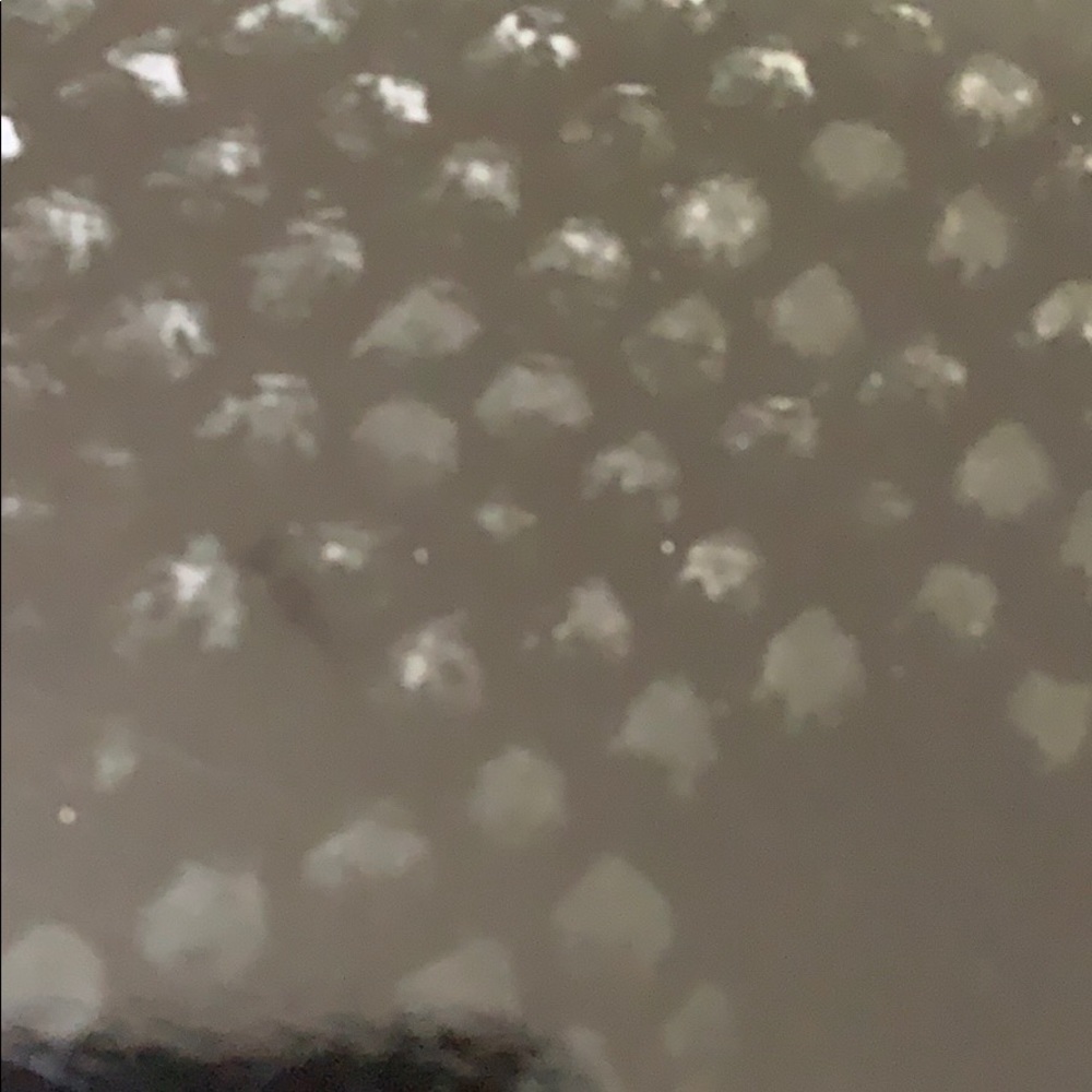 Meet your Posher, Katya